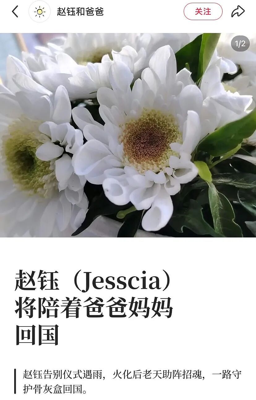 痛心！30岁华人金融才女惨死丈夫之手，父母赴美泪诉真相，护送女儿回家！（组图） - 9