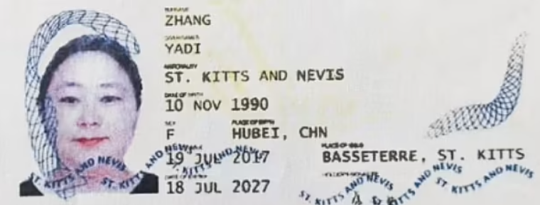 华人女子卷走400亿，年龄改小12岁，持假护照逃往国外，刚刚认罪（组图） - 3