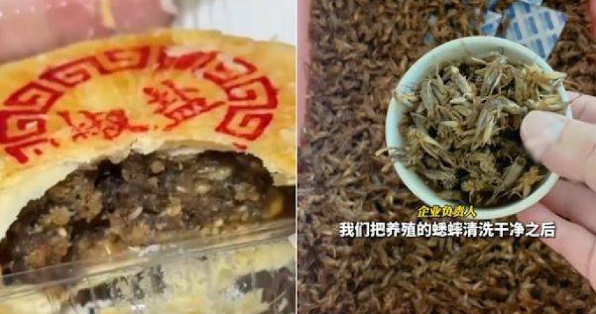 对岸惊现猎奇月饼！蟋蟀口味震撼上市，试吃者赞：没尝过亏大了（图） - 1
