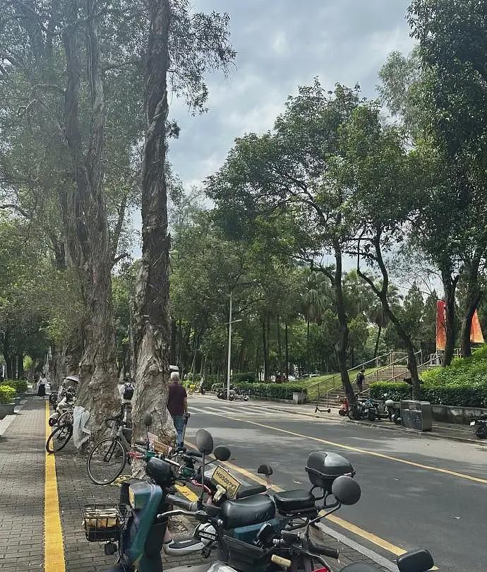 华南理工校内车祸后续：恶心的一幕发生，知情人曝肇事者是惯犯（组图） - 25