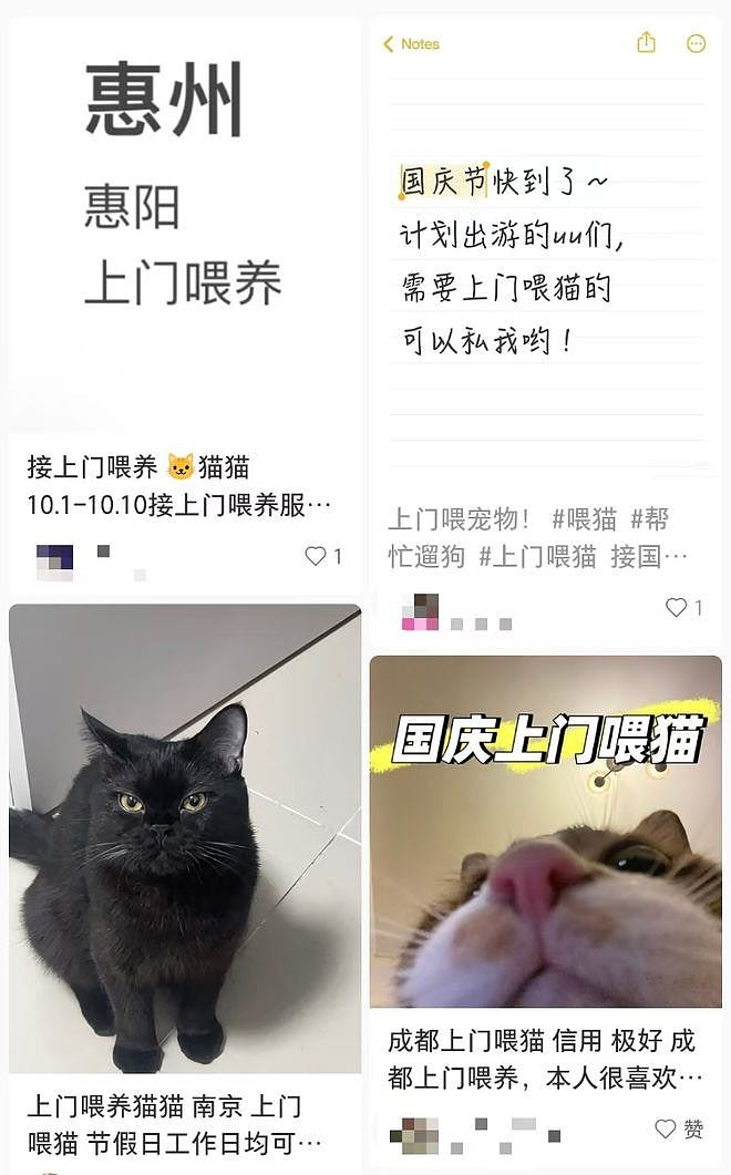 黄金周期间内地宠物托养代喂生意火爆！业者：已接到约270单（组图） - 2