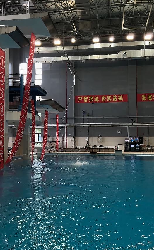 全红婵入读暨大后公开训练情况：水花消失术重现（视频/组图） - 3