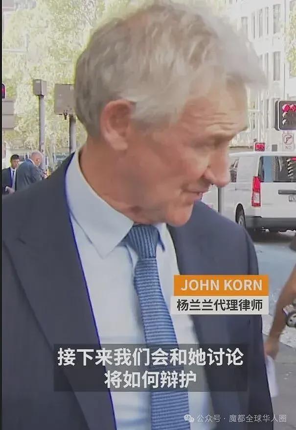 杨兰兰身份终于曝光!14岁留学澳洲,已拿pr,醉驾案再开庭!法院撤掉重要指控(组图) - 6