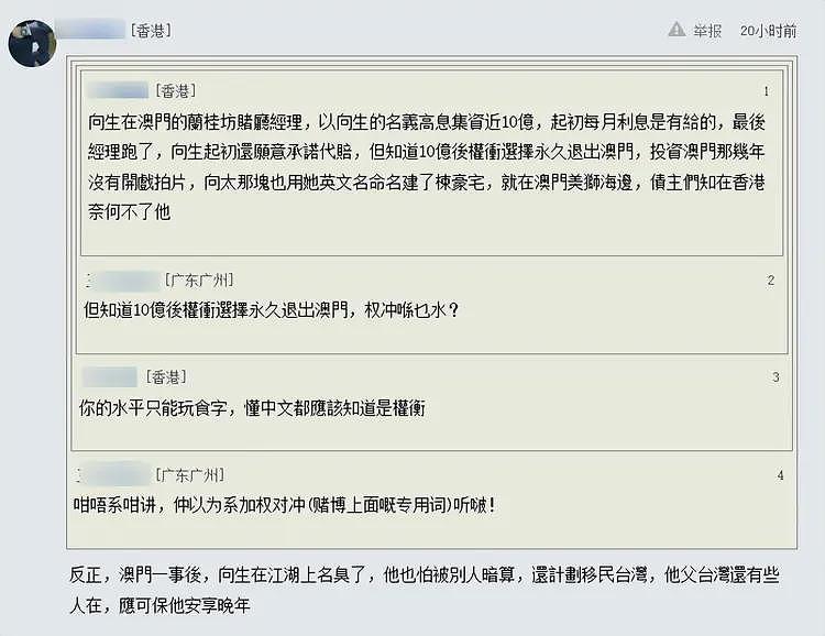 曝向太被员工骗走10亿落魄后续：计划移民湾湾，向华强父亲人脉广（组图） - 8