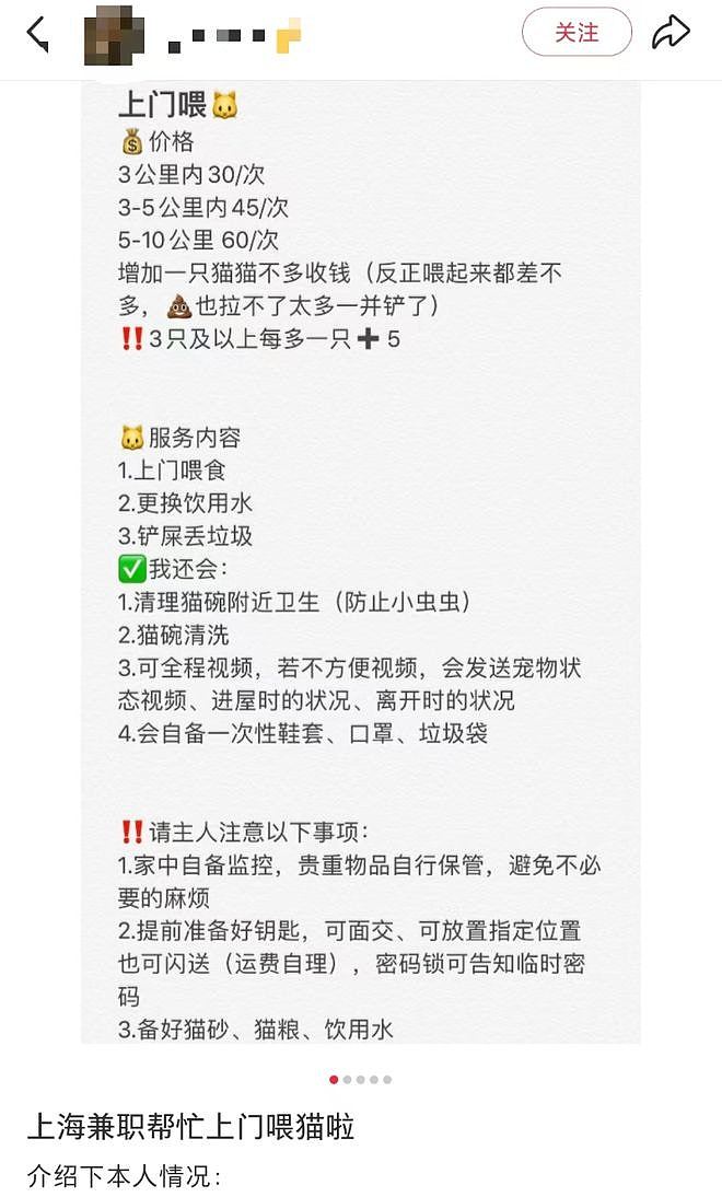 黄金周期间内地宠物托养代喂生意火爆！业者：已接到约270单（组图） - 3