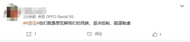 中国新增K签证引“抢饭碗、种族论”争议！官媒：曲解误导公众（组图） - 3