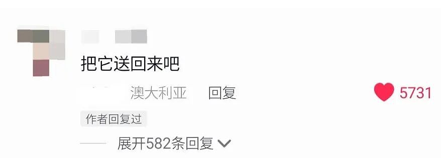【宠物】妹子买了商家说的“长不大的迷你兔”，结果1年后…这只肌肉驴脸袋鼠是谁（组图） - 18