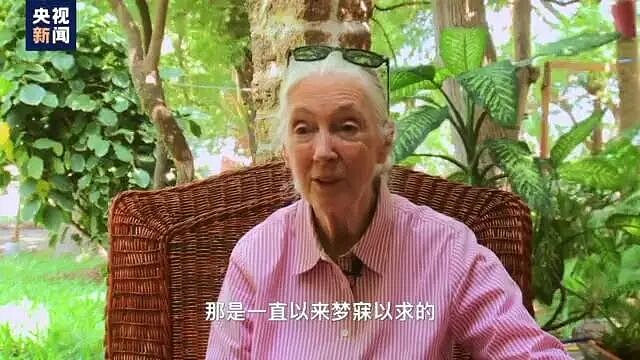 著名灵长类动物学古道尔去世，终年91岁，当时正在巡回演讲！她曾17次来到中国（组图） - 6