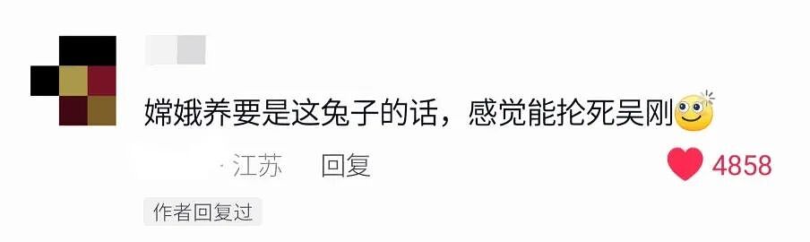 【宠物】妹子买了商家说的“长不大的迷你兔”，结果1年后…这只肌肉驴脸袋鼠是谁（组图） - 11