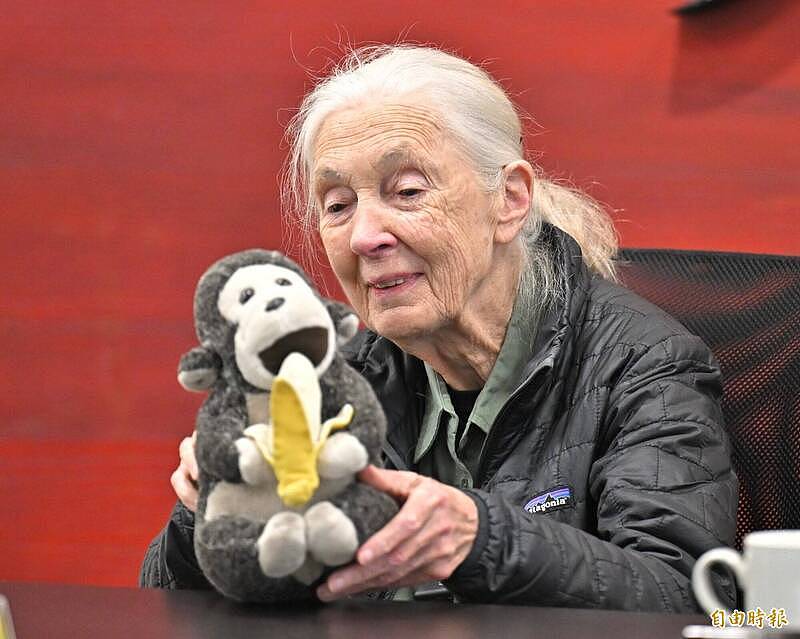 91岁黑猩猩之母珍古德辞世！毕生致力动物保育、环境永续（组图） - 3