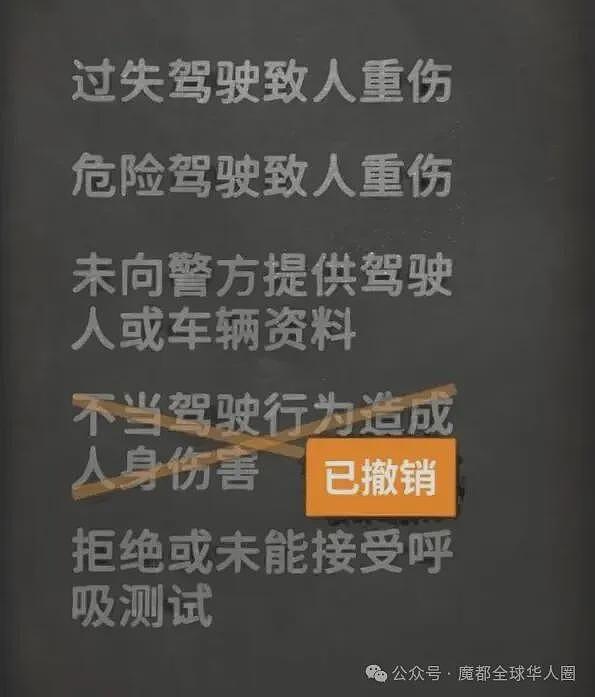 杨兰兰身份终于曝光!14岁留学澳洲,已拿pr,醉驾案再开庭!法院撤掉重要指控(组图) - 8