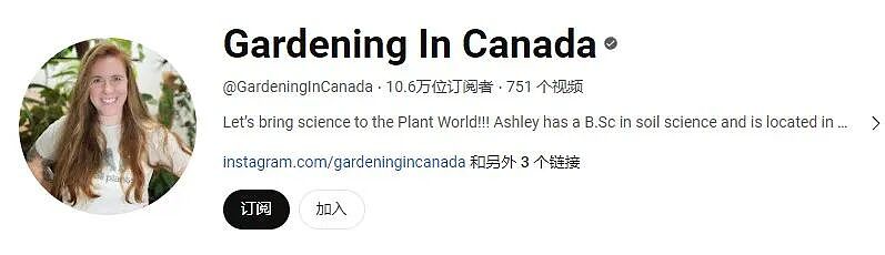 美国女子买了一个西瓜，切开后惊呆了：这西瓜是橡胶做的？（组图） - 20