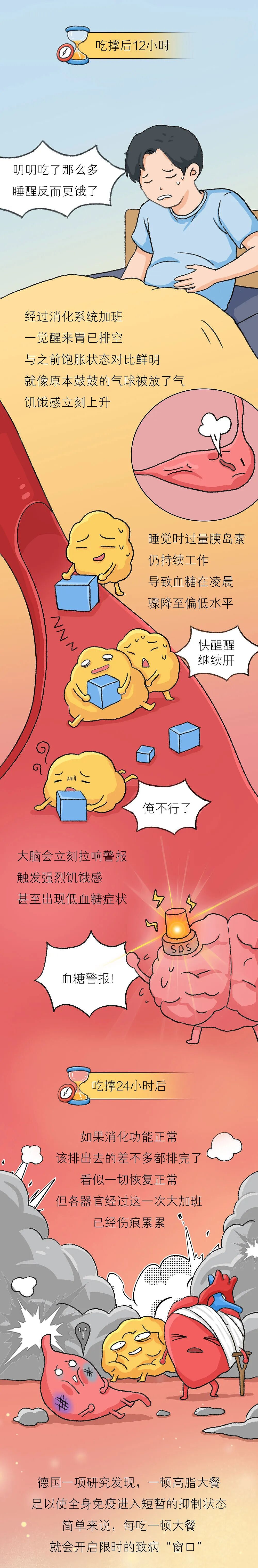 吃撑后24小时，器官都经历了什么？（组图） - 6