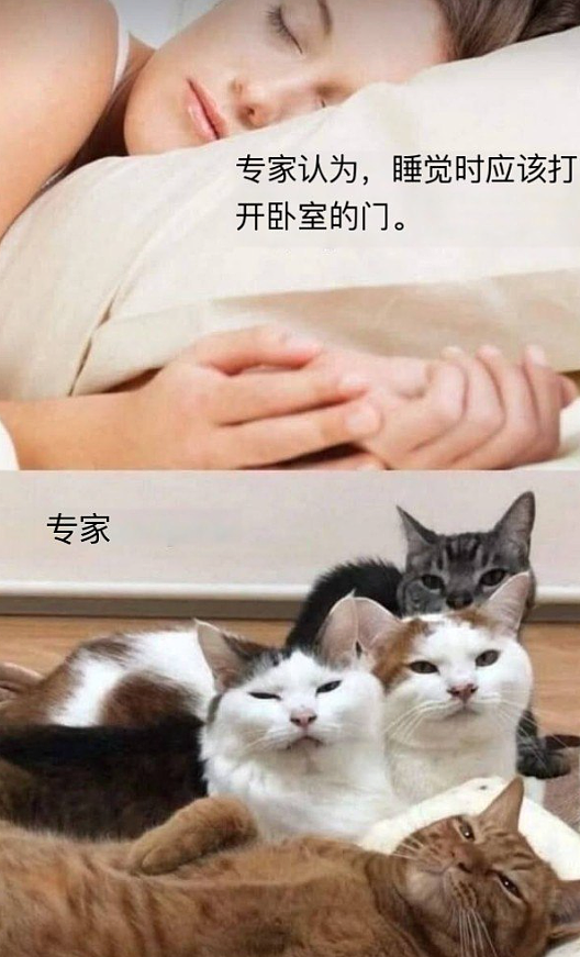 【爆笑】第一次被国外五星级酒店的拖鞋震惊到了?网友笑疯:仇人穿上我都会释怀!(组图) - 25
