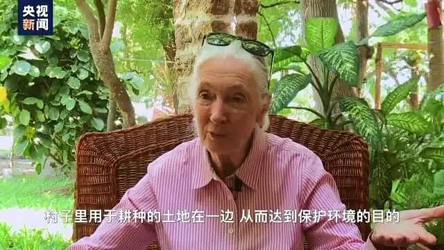 著名灵长类动物学古道尔去世，终年91岁，当时正在巡回演讲！她曾17次来到中国（组图） - 13