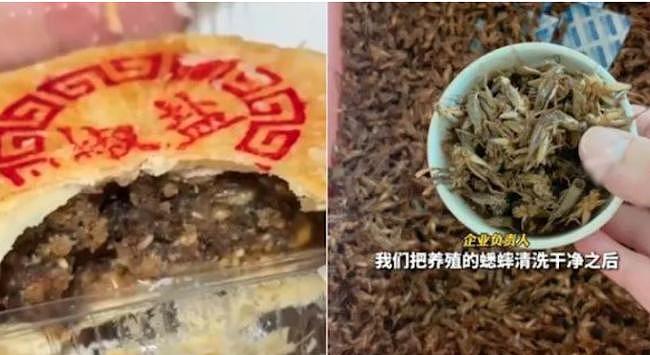 山东推“蟋蟀月饼” 试吃者直呼:没尝过亏大了(图) - 1