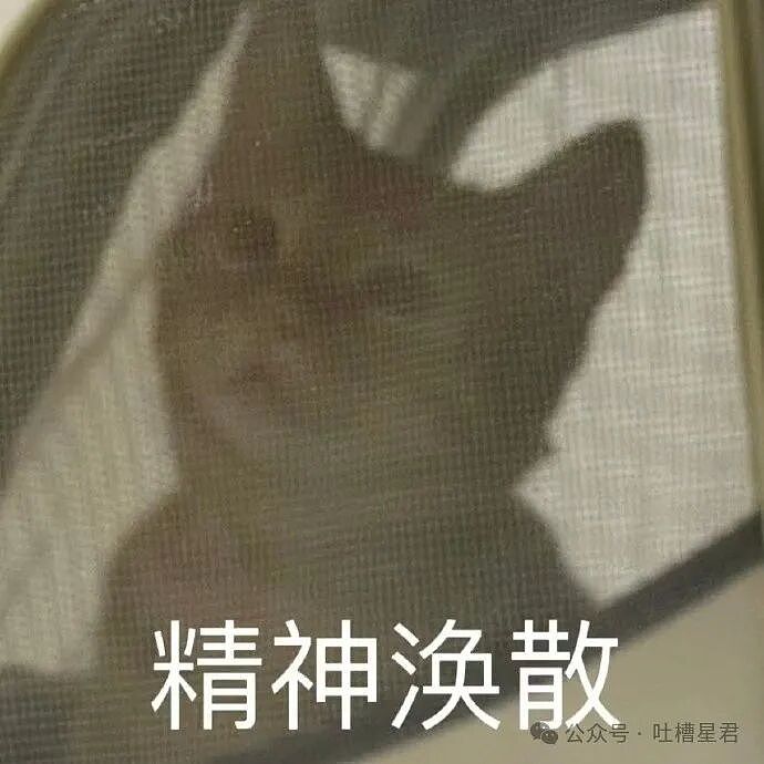 【爆笑】男朋友还房贷压力大要我出一半？啊啊啊这算盘打的全世界都听到了（组图） - 1