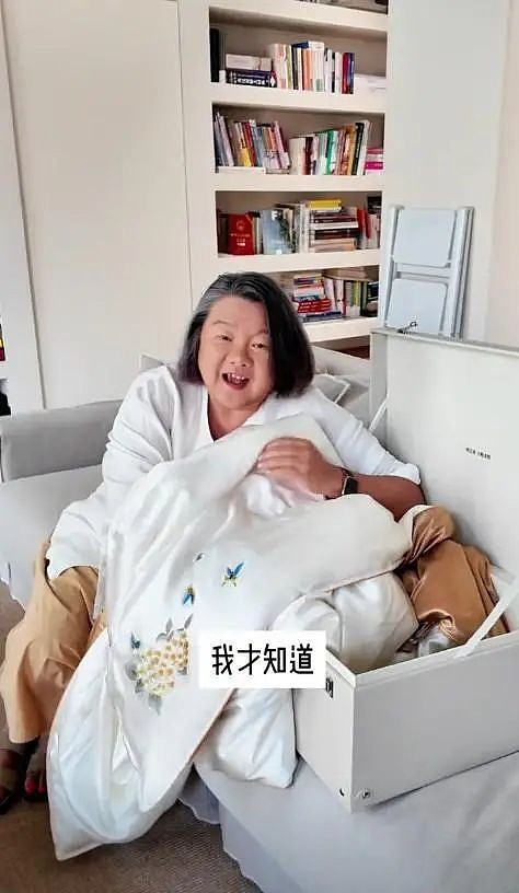 陈凯歌前妻洪晃晒京区豪宅，光院子就上百平（组图） - 2