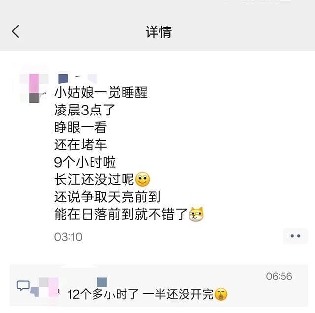 男子堵崩溃了！通宵在高速上，整整18个小时！服务区挤不进去，还有人下不了高速…（组图） - 3