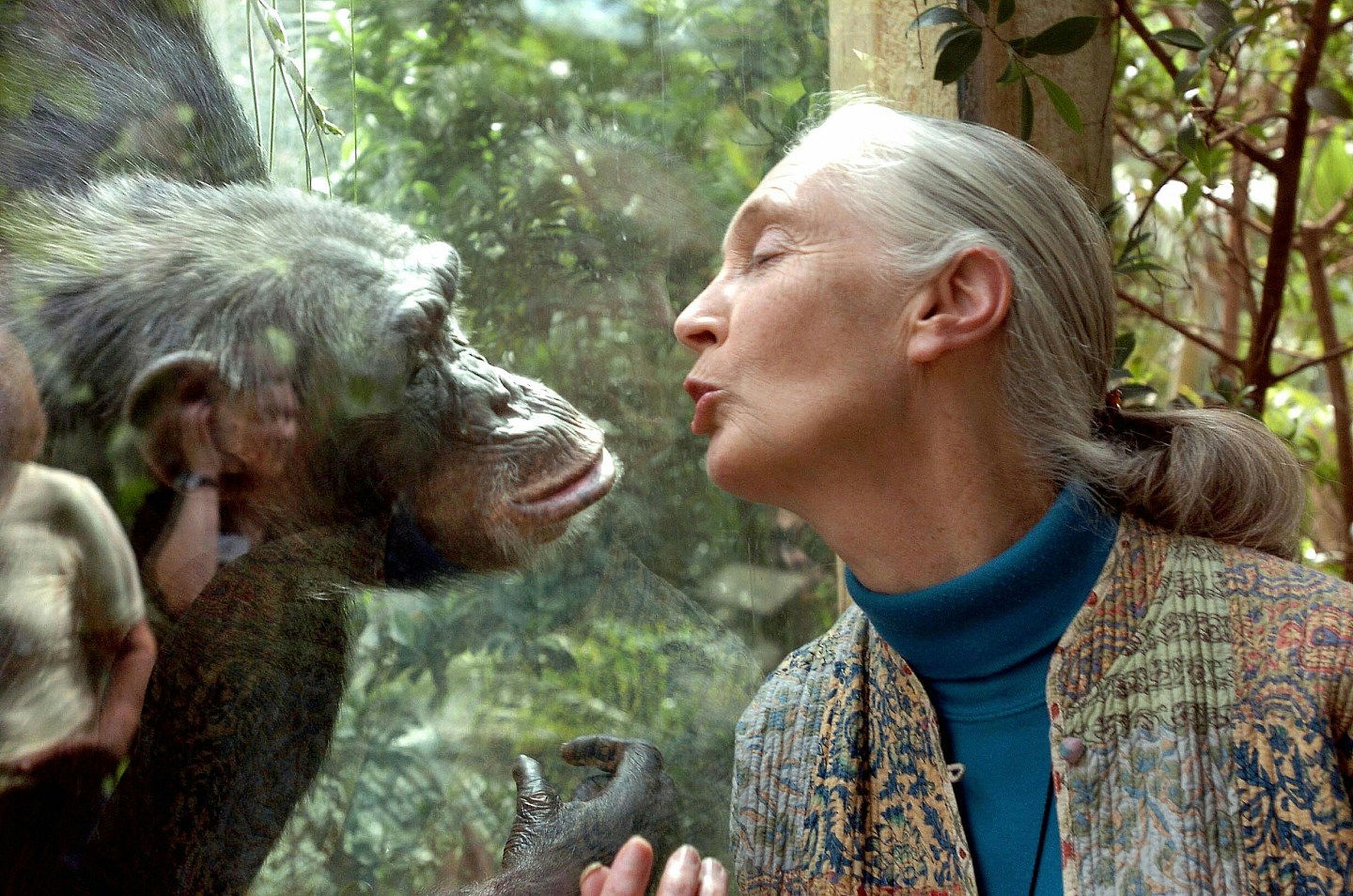 Jane Goodall逝世:曾17次访华!一生为研究、环保奔波吁保持希望(组图) - 5