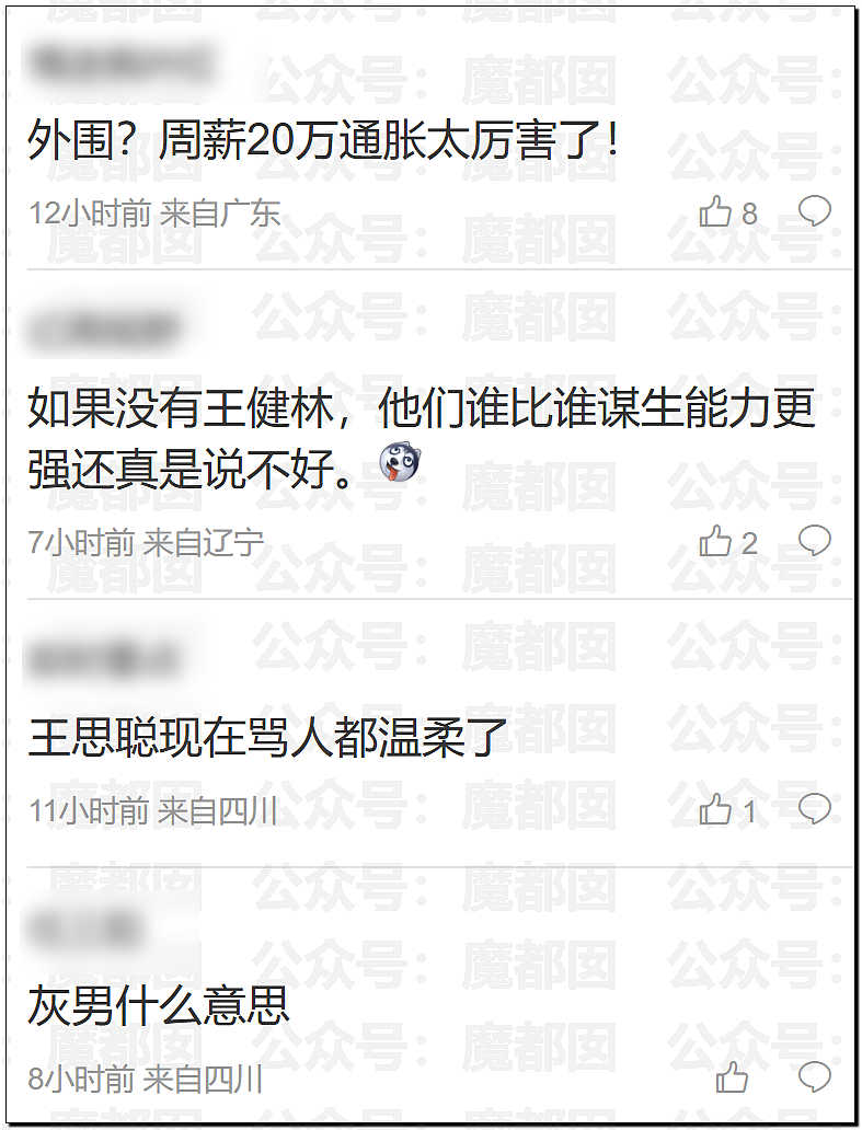 “当婊子还立牌坊” 王思聪发帖怒喷女网红:一周20万的外围女(组图) - 29