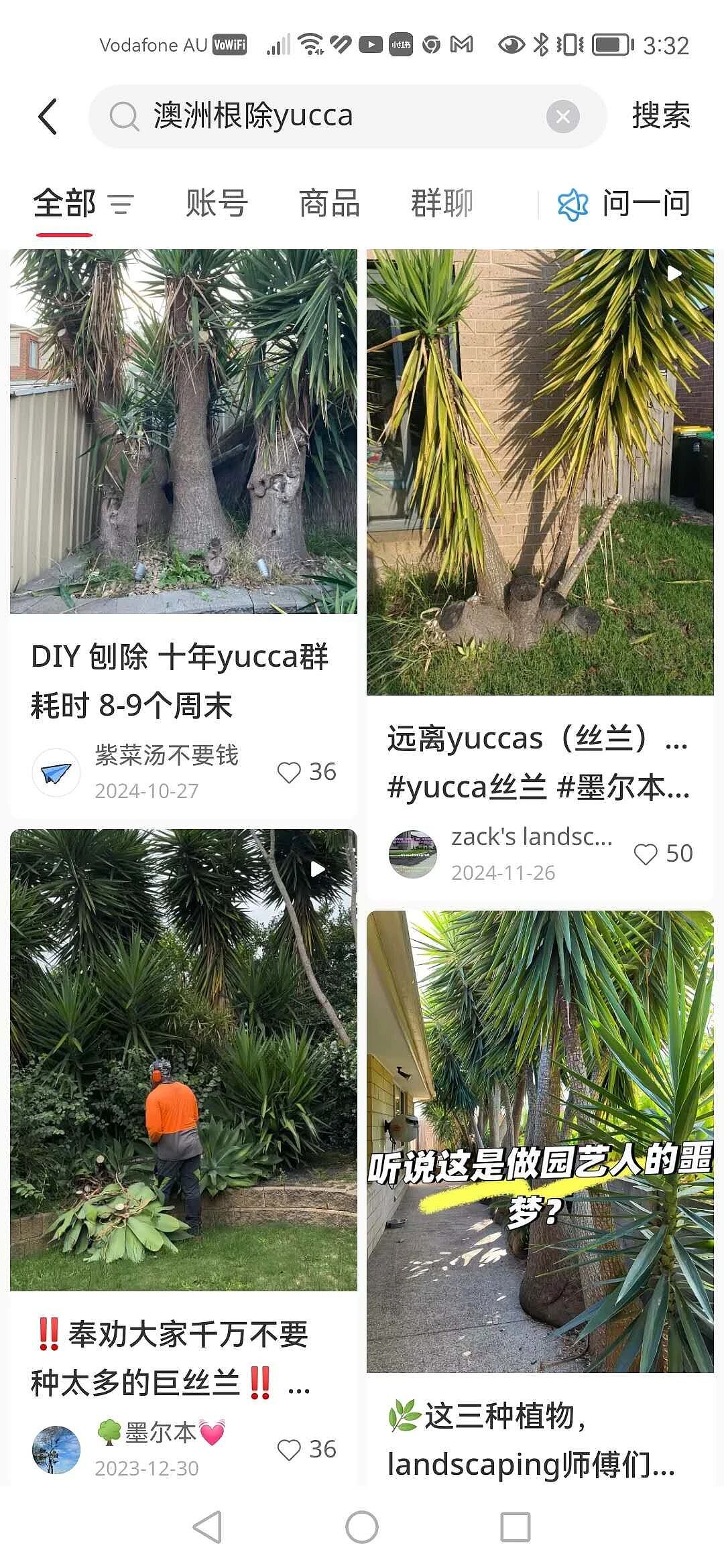 注意!澳洲华人后院这种常见植物尽快移除,有房东“中招”后4000刀没了(组图) - 9