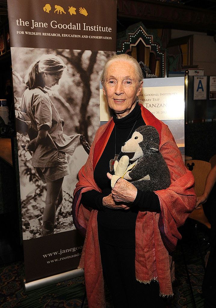 Jane Goodall逝世:曾17次访华!一生为研究、环保奔波吁保持希望(组图) - 3