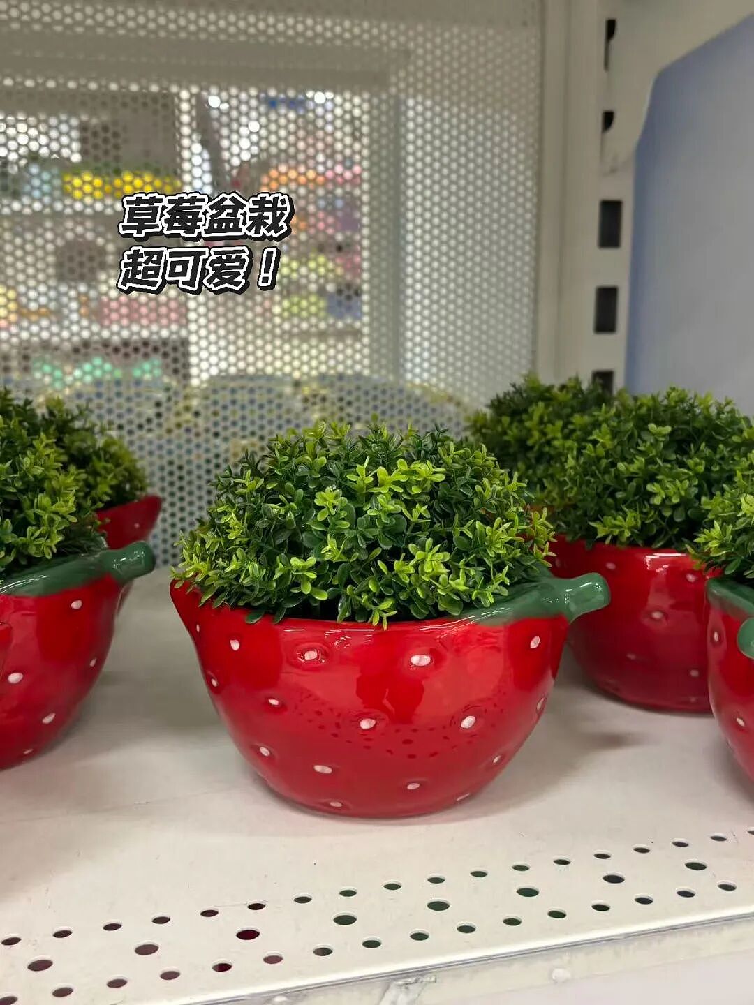 华人狂赞!Kmart春日新品太顶了!(组图) - 12