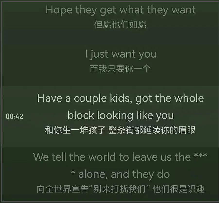 霉霉新专歌词惹争议，用词粗俗让人不适，迫不及待想和未婚夫生娃（组图） - 21