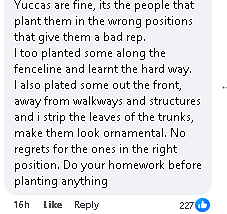注意!澳洲华人后院这种常见植物尽快移除,有房东“中招”后4000刀没了(组图) - 4