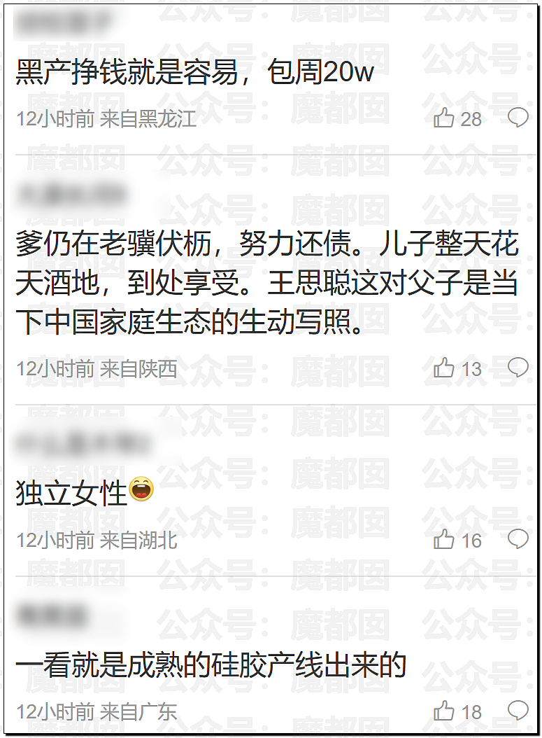 “当婊子还立牌坊” 王思聪发帖怒喷女网红:一周20万的外围女(组图) - 28