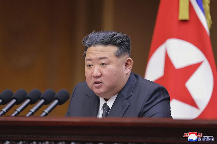 打倒资本主义！金正恩下令取缔隆乳手术（组图） - 1