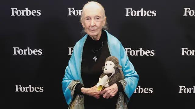 珍·古德尔博士永载史册,黑猩猩研究权威被誉为“地球的真正英雄”(组图) - 2