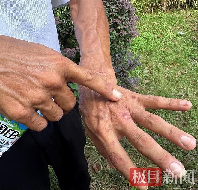“鸡排哥”赚得盆满钵满购置多套房产？当事人幽默回应：还没到一个亿，你多来，我才能多卖2份（组图） - 3
