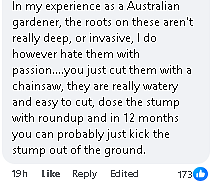 注意!澳洲华人后院这种常见植物尽快移除,有房东“中招”后4000刀没了(组图) - 7
