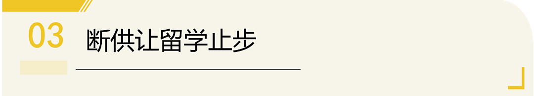 杨天真 40 岁的选择，道破大龄留学新真相：从“为陪读留学”到“为自己留学”（组图） - 7