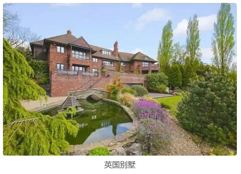 8年前她带着403亿出逃英国，落网时账上竟有480亿（组图） - 4