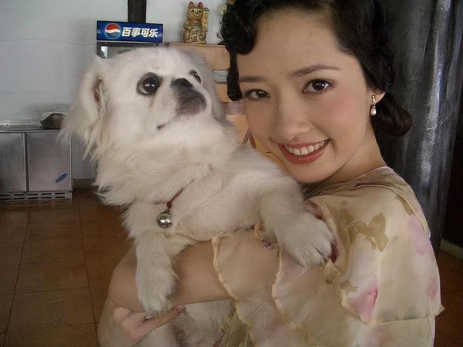 向家被传破产，郭碧婷何去何从：台湾女星的豪门路屡战屡败？（组图） - 7