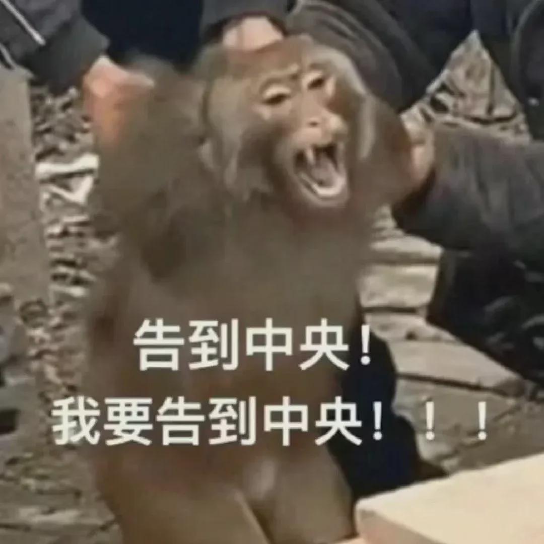 留学圈富二代曝光，被他们的生活震惊了（组图） - 4