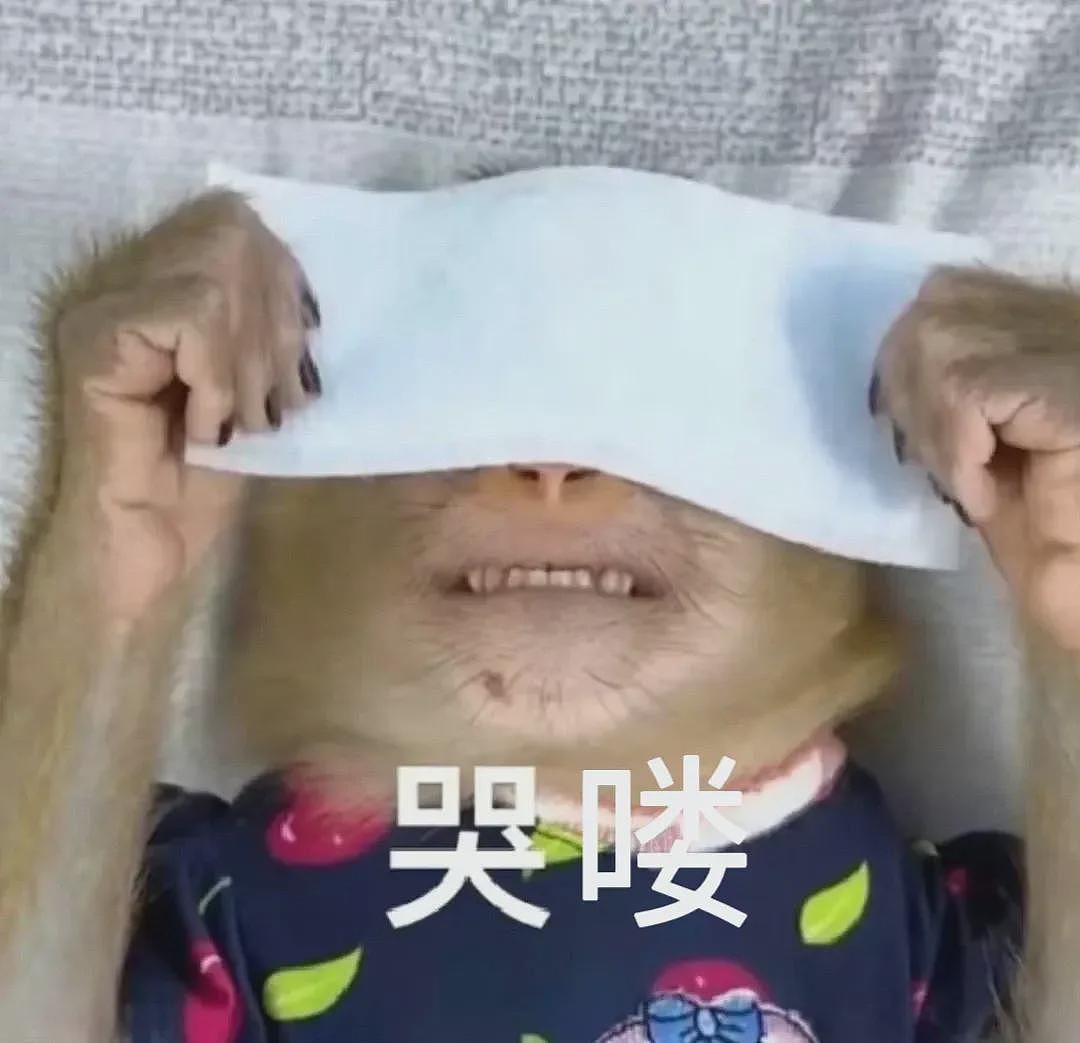 留学圈富二代曝光，被他们的生活震惊了（组图） - 3