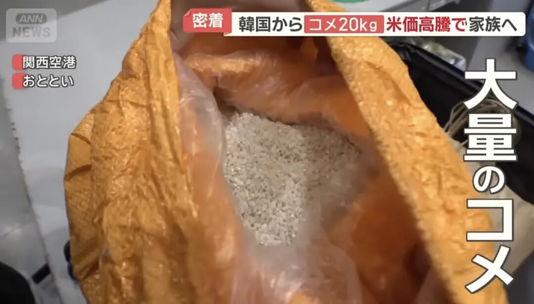 中国游客国庆节杀到日本机场各种被拦！牛肉塞衣服里、水果想当场吃，海关都看蒙了！（组图） - 19