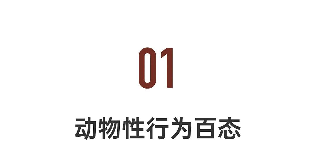 女博士研究100种动物性行为：反观人类该如何爱、如何活？（组图） - 4