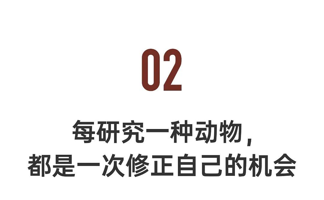 女博士研究100种动物性行为：反观人类该如何爱、如何活？（组图） - 17