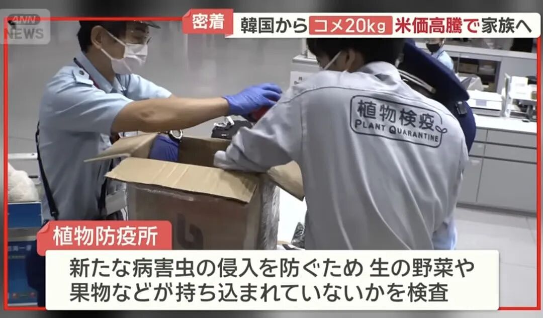 中国游客国庆节杀到日本机场各种被拦！牛肉塞衣服里、水果想当场吃，海关都看蒙了！（组图） - 22