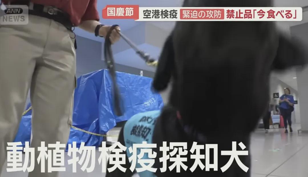 中国游客国庆节杀到日本机场，各种被拦（组图） - 21