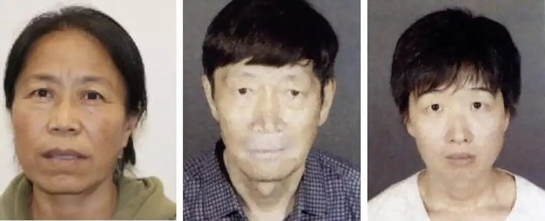 惊天内幕！华人富豪找代孕生20个孩子，背后竟牵出非法赌场与毒品窝点，FBI已介入调查（组图） - 1
