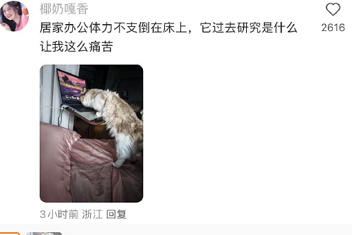 【爆笑】无意间发现男朋友“藏”起来的月饼 ​​​？网友建议：不分手留着过中秋？（组图） - 38