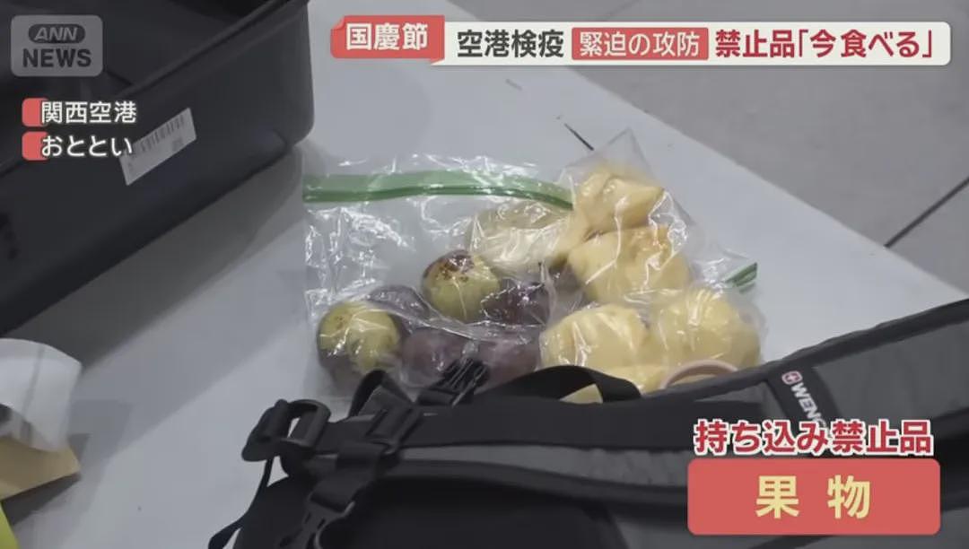 中国游客国庆节杀到日本机场，各种被拦（组图） - 16