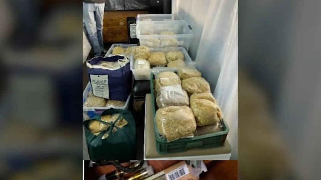 惊天内幕！华人富豪找代孕生20个孩子，背后竟牵出非法赌场与毒品窝点，FBI已介入调查（组图） - 3