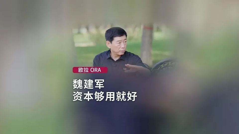 长城汽车老总魏建军语出惊人：车圈就要出下一个恒大？（组图） - 2